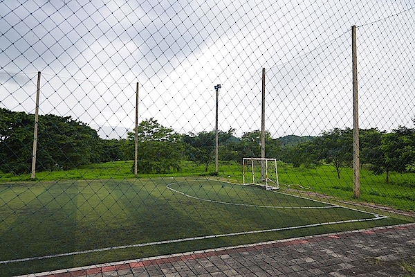 หญ้าเทียม