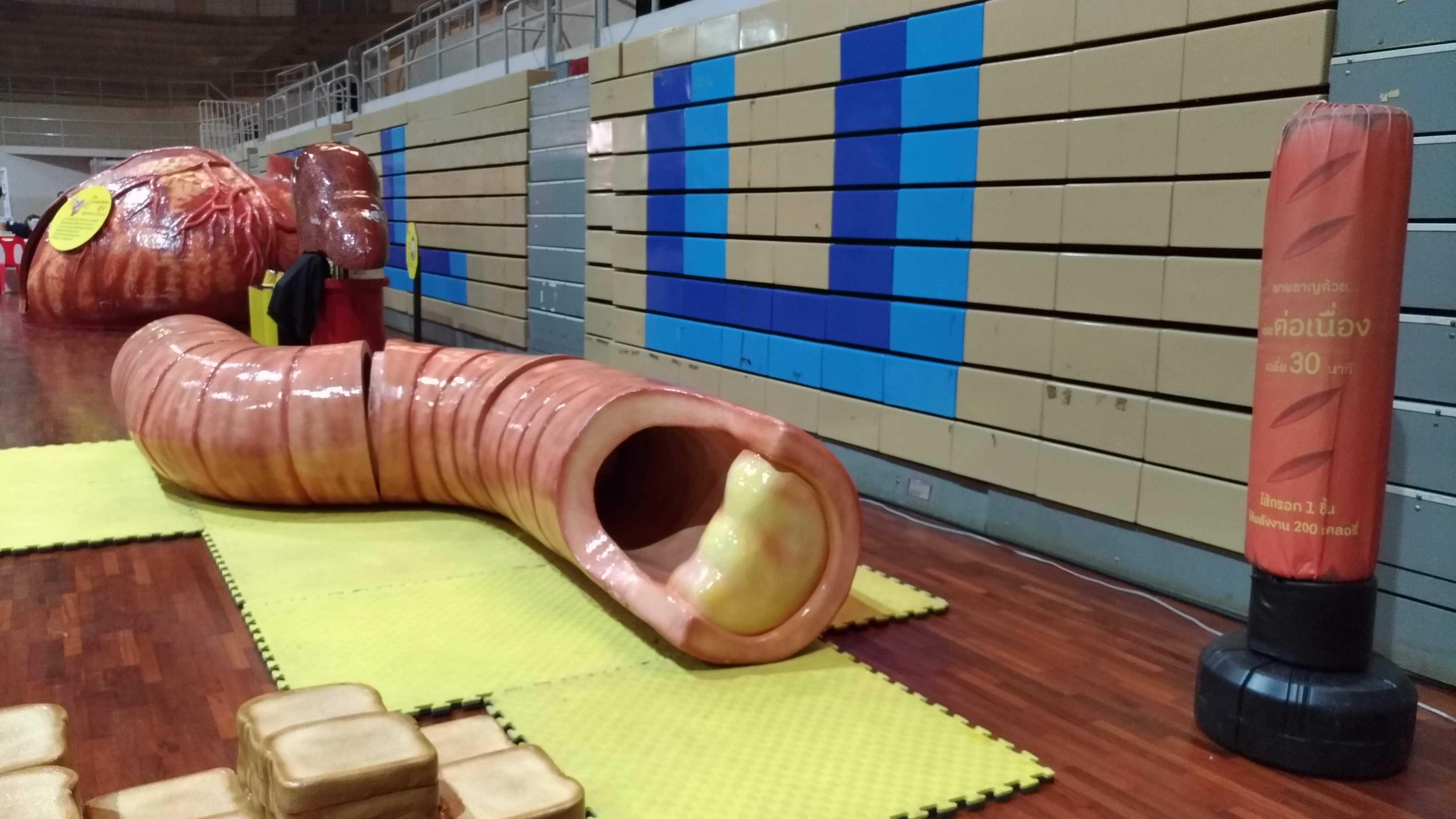 MFU News : P_20190129_110803_vHDR_Auto.jpg