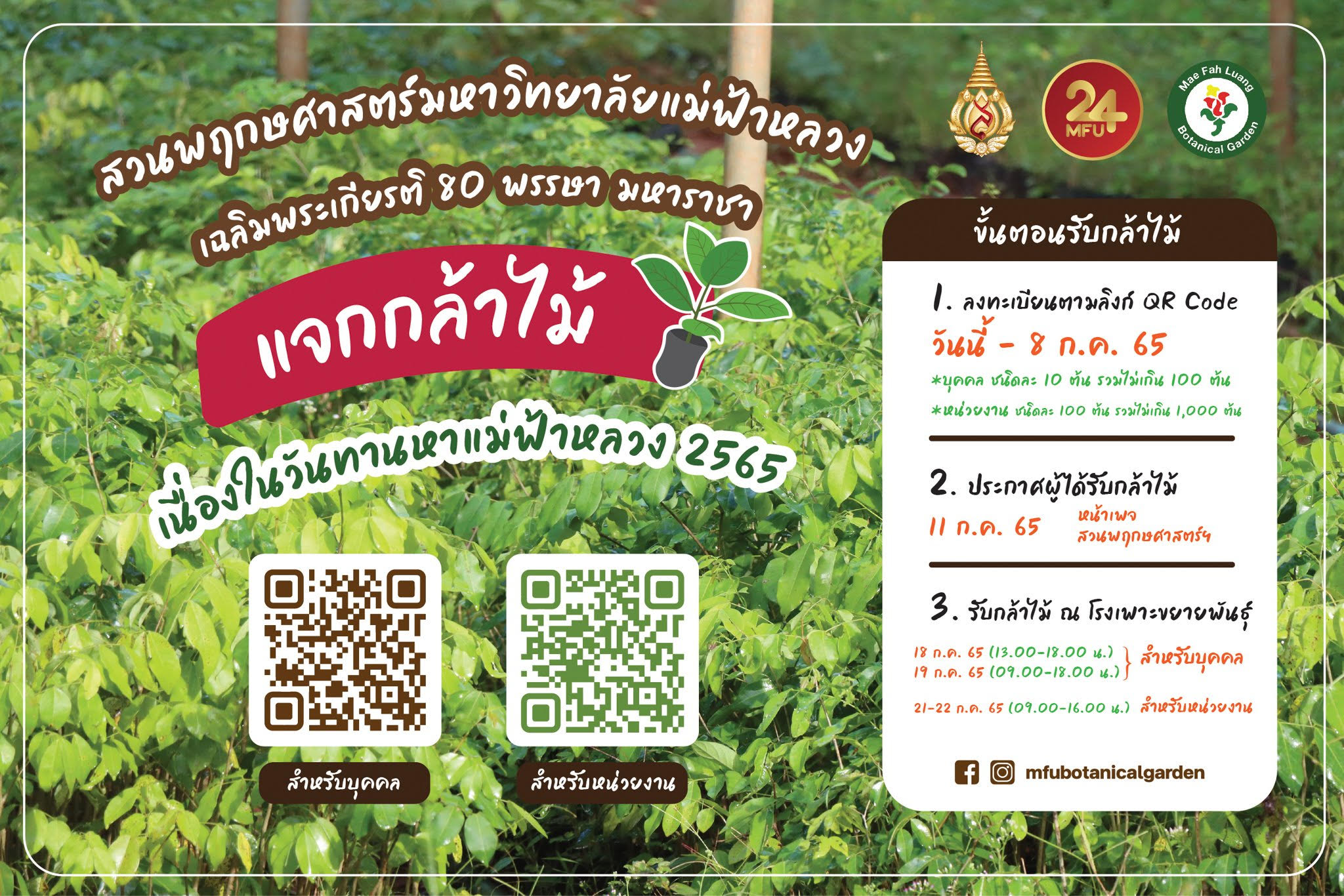 สวนพฤกษศาสตร์ มฟล. แจกกล้าไม้ เนื่องในโอกาสวันทานหาแม่ฟ้าหลวง 2565