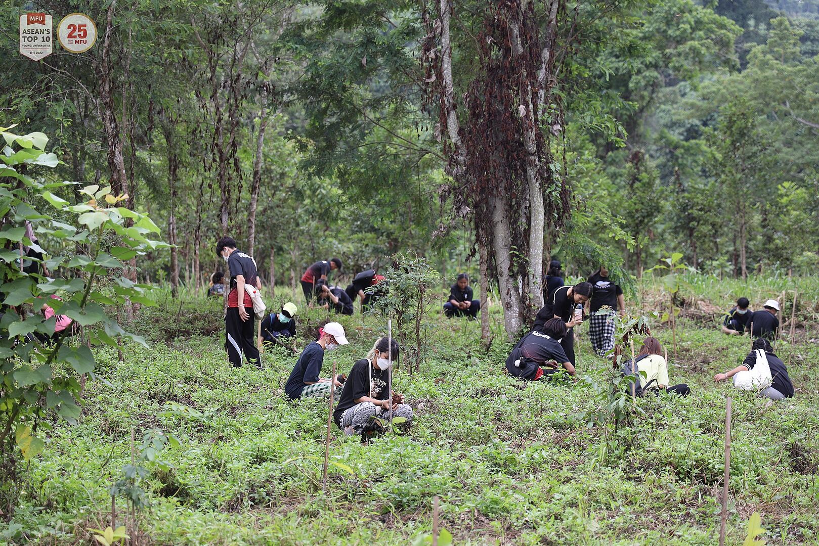 MFU News : 375869786_635563038704029_1541861000558864486_n.jpg