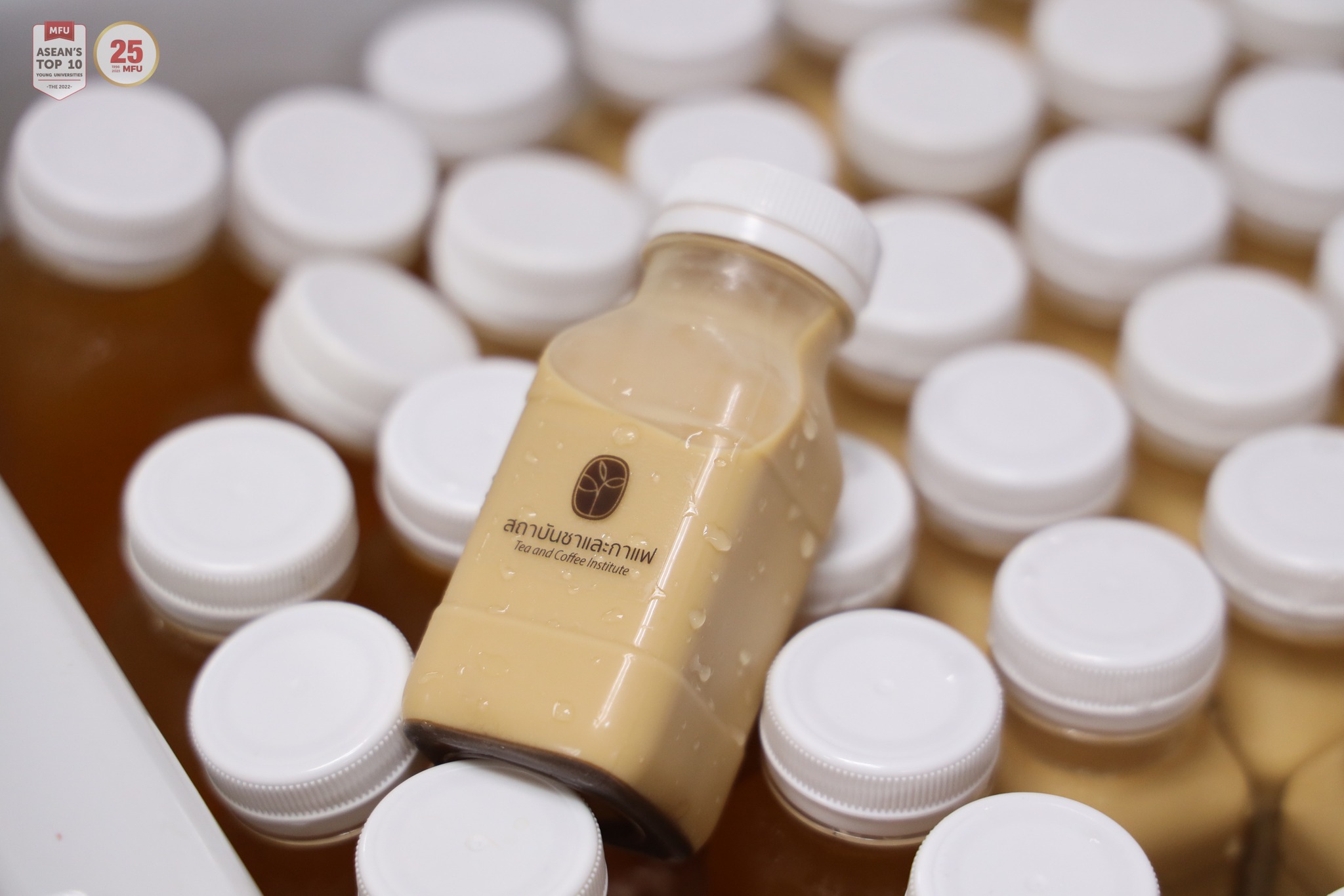 MFU News : Special_Night_may_2024__11_.jpg